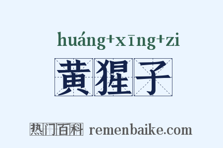 黄猩子是什么意思的图片